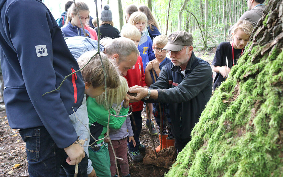 Vater-Kind-Gruppe lernt Wald neu kennen …